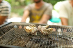 11226564_736800646442532_2102015454266736741_n