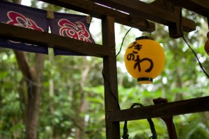 11702776_736791536443443_264815361501551994_n